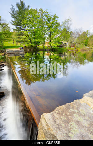 Rhodora, Chocorua Lake, Chocorua, New Hampshire, USA Stock Photo - Alamy