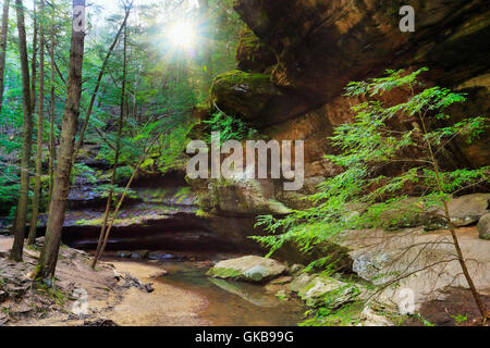 Old Mans Cave, Hocking Hills State Park, Logan, Ohio, USA Stock Photo