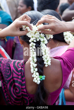 Woman adjusting Jasmin flowers in her hair,Tamil Nadu,India Stock Photo