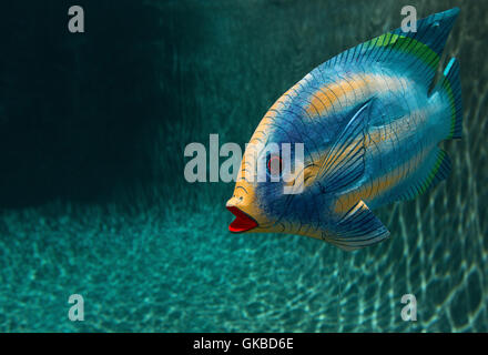 Wooden fish in a pool in Virginia Beach, VA Stock Photo