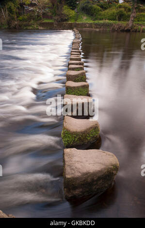 Slow shutter speed, low viewpoint, close-up of stepping stones (stone blocks) crossing flowing water of River Wharfe, Ilkley, West Yorkshire, England. Stock Photo