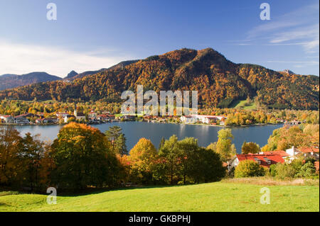 indian summer,tegernsee lake,trees,tree,forest,autumn,yellow,gold orang Stock Photo