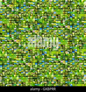 beautiful beauteously nice Stock Photo