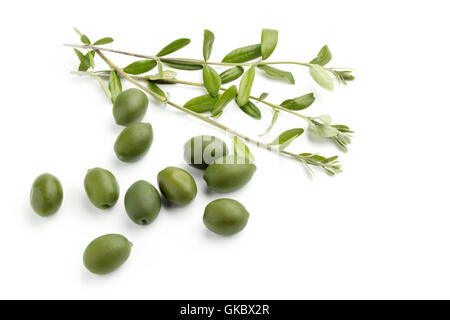 food aliment branch Stock Photo