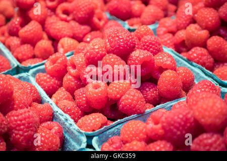 Punnets of fresh raspberries for sale at Granville Island Public Market in Vancouver, British Columbia, Canada. Stock Photo