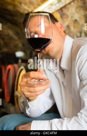 man testing wine in the background wine barrels Stock Photo