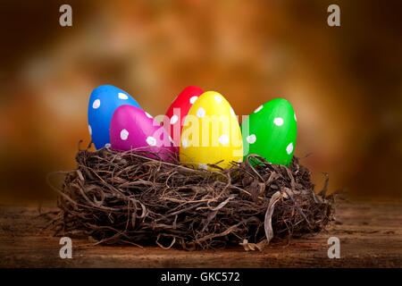 colorful easter eggs in easter nest Stock Photo