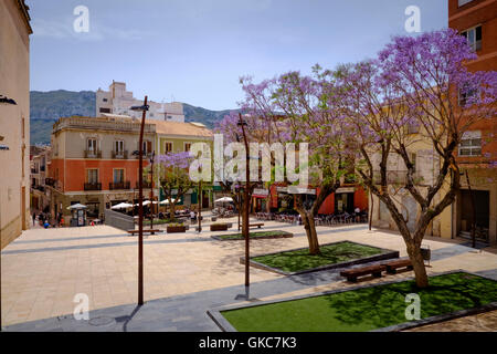 Constitucion Place Denia Spain with Jacaranda trees in flower Stock Photo