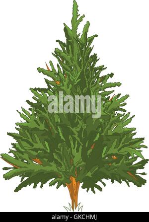 Pine Tree Stock Vector