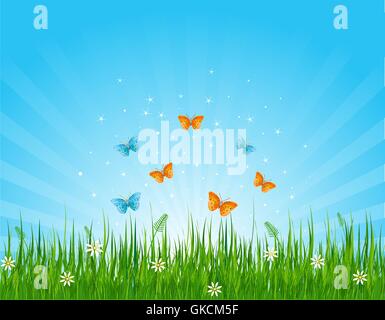 Grassy field and butterflies Stock Vector