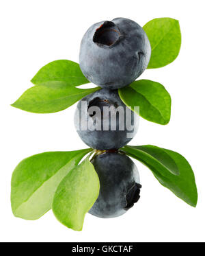 blueberries isolated on the white background. Stock Photo