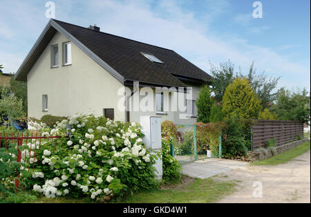 VILNIUS, LITHUANIA - JULY  17, 2016: Summer time of the blossoming hydrangea bushes  in public garden association Kalorija near Stock Photo