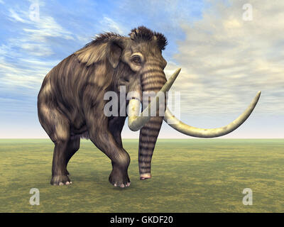 elephant ivory tusk Stock Photo