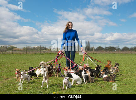 woman dog puppy Stock Photo