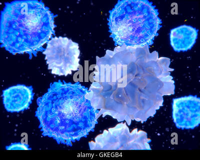 Computer illustration of dendritic cells (light blue) and lymphocyte cells (bright blue). Dendritic cells are a component of the body's immune system. They are antigen-presenting cells (APCs), that is, they present pathogens or foreign molecules (antigens) to other cells of the immune system to be eliminated. Lymphocytes are white blood cells involved in the immune system's defence mechanisms, lymph system and antibody production. Stock Photo