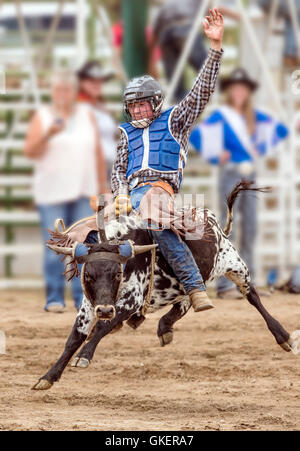 Young cowboy riding a small bull in the Junior Steer Riding competition, Chaffee County Fair & Rodeo, Salida, Colorado, USA Stock Photo