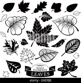 Set of different leaves Stock Vector