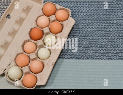 A dozen unwashed chicken eggs in open carton, on blue table cloth Stock Photo