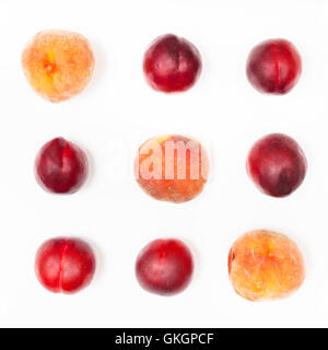 several nectarines and peaches arranged in square on white background Stock Photo