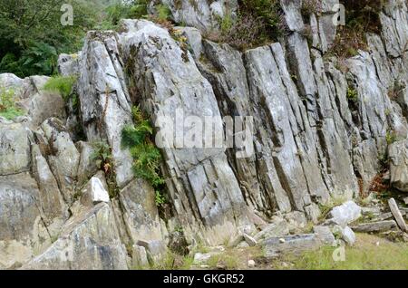 Craig Rhos-y-Felin Pont Saeson rock outcrop Crosswell Pembrokeshire Stock Photo