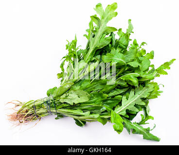 bunch of fresh cut green arugula herb on white background Stock Photo