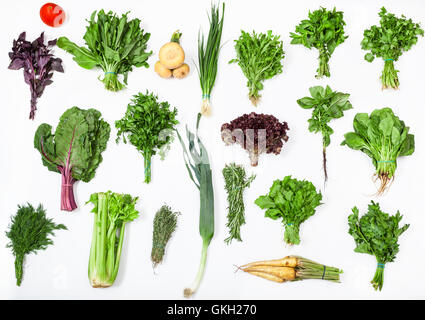 different bunches of fresh culinary grasses (chives, beet greens, turnip, basil, celery, rosemary, thyme, mint, parsley, cress, Stock Photo