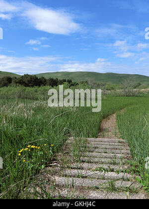 Ettrick Marshes, Ettrick Valley, Borders County, Scotland, UK in Spring Stock Photo