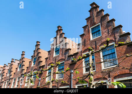 Row stepped gables of old houses in Groot Heiligland street in old town of Haarlem city in Holland, Netherlands Stock Photo