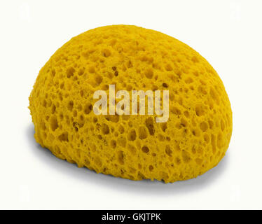 Rounded Natural Sponge Isolated on White Background. Stock Photo