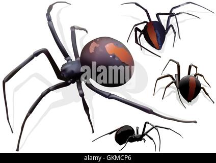 Black Widow Spider Stock Vector
