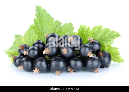 Black currant currants berries fresh fruits fruit isolated on a white background Stock Photo