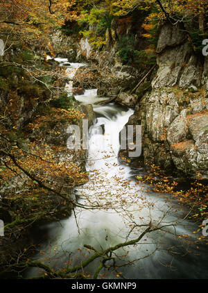 The Afon Llugwy river flowing through rocky ravine upstream from Betws-y-Coed, Snowdonia National Park, Conwy, North Wales, UK; autumn Stock Photo