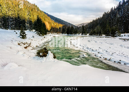frozen mountain river among spruce forest with snow on the ground in Carpathians before sunrise Stock Photo