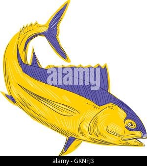 Drawing sketch style illustration of albacore tuna fish also known as albacore fish,albicore, albie, pigfish, tombo ahi, binnaga, Pacific albacore, bonito del Norte, German bonito , longfin, longfin tuna and longfin tunny viewed from the side set on isola Stock Vector