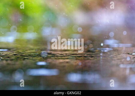 colorful dancing water, Netherlands Stock Photo