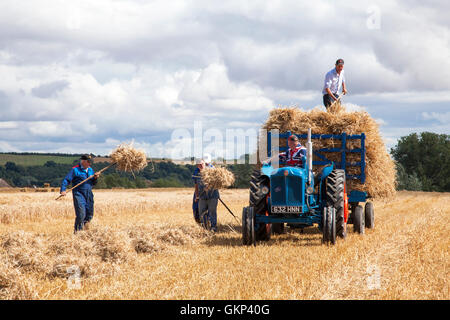 Hoveringham, Nottinghamshire, UK. 21st Aug, 2016,  Vintage combine harvesters, tractors and other farm machinery from yester-year take part in a vintage harvest in aid of a teenage cancer charity in memory of Nottinghamshire teenager, Rachel Clifford.  Local teenager Rachel, from East Bridgford near Nottingham, sadly lost her battle with cancer in January 2016, a few weeks after her 18th birthday. During her illness, Rachel's family held number of fund raising events which have already raised over £17,000. Credit:  Mark Richardson/Alamy Live News Stock Photo