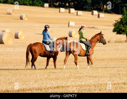 Two Women Horseback Riding in a Field with Bales of Hay Stock Photo