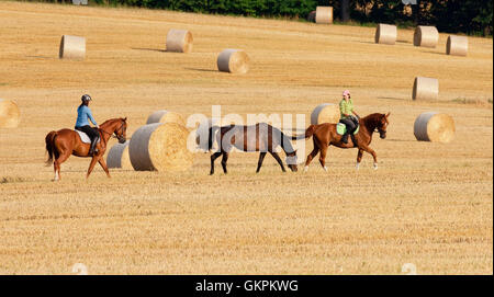 Two Women Horseback Riding in a Field with Bales of Hay Stock Photo