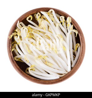 Mung bean sprouts in a wooden bowl on white background. Also moong bean or green gram, simply called bean sprouts. Stock Photo