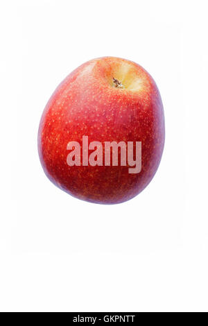 Envy Apple Malus Domestica 'scilate