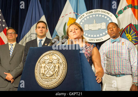 New York City Council Speaker Melissa Mark-Viverto and members of the New York City Council hold a news conference in the Red Room of NY City Hall about pending legislation including consumer protection for women, immigrants, and seniors, on Tuesday, August 16, 2016. (© Frances M. Roberts) Stock Photo