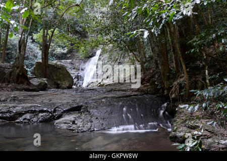 Cascade in Minnamurra National Park, Cascades Walk, New South Wales, NSW, Australia Stock Photo