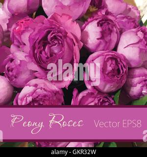 Vector card with peony roses. Wedding, greeting or birthday card design Stock Vector