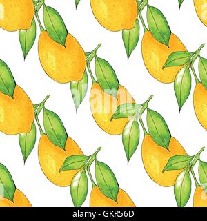 Seamless Lemon tree branch, watercolor painting on white background, vector illustration. Stock Vector