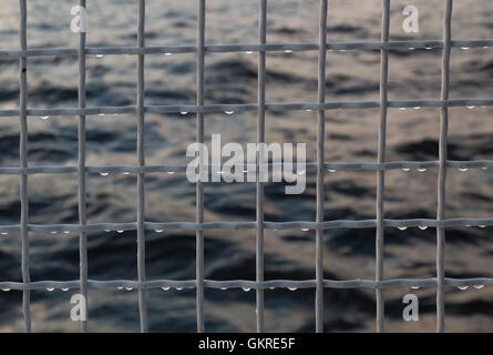 Metallic net with drops against sea background. Stock Photo