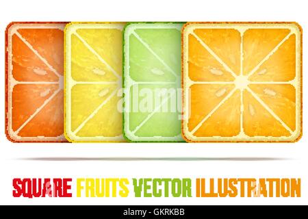 Set of icons Square fruits slices. Vector Illustration. Stock Vector