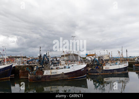 portavogie fishing fleet in harbour under stormy grey skies Stock Photo