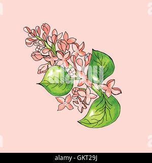 Blossoming branch of apple tree on pink background. Watercolor floral illustration. Stock Vector