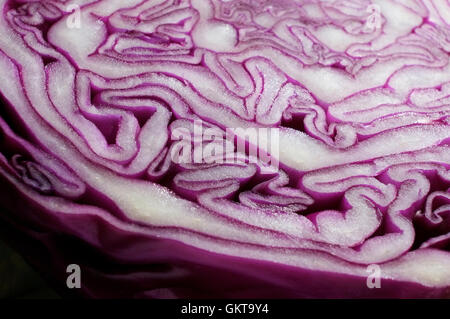 close up of colourful red cabbage sliced in half Stock Photo