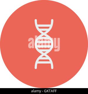 DNA thin line icon Stock Vector